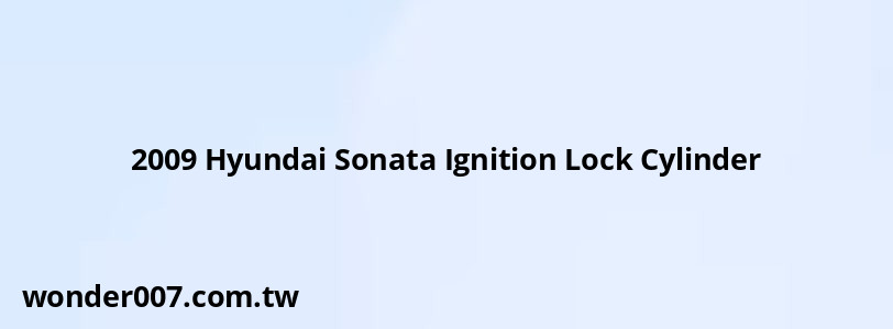 2009 Hyundai Sonata Ignition Lock Cylinder