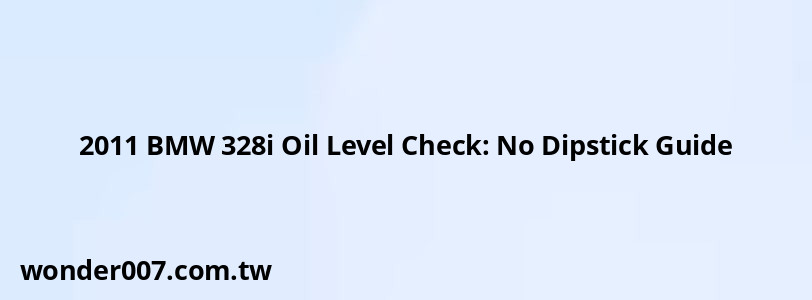 2011 BMW 328i Oil Level Check: No Dipstick Guide