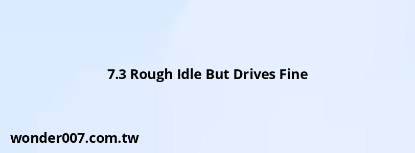 7.3 Rough Idle But Drives Fine