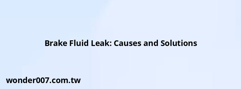 Brake Fluid Leak: Causes and Solutions