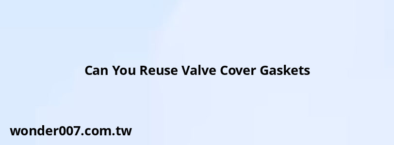 Can You Reuse Valve Cover Gaskets Can You Reuse Valve Cover Gaskets
