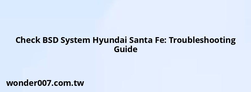 Check BSD System Hyundai Santa Fe: Troubleshooting Guide