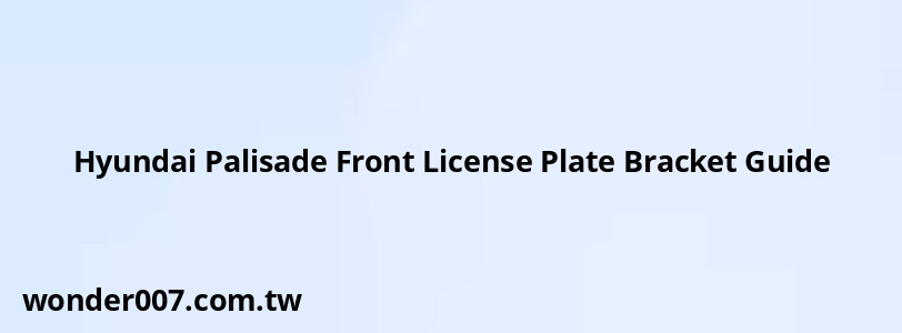 Hyundai Palisade Front License Plate Bracket Guide