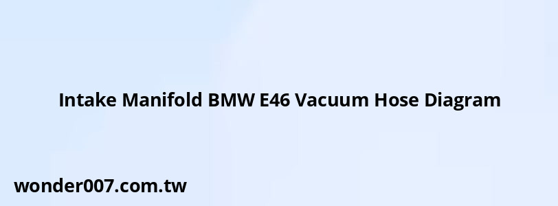 Intake Manifold BMW E46 Vacuum Hose Diagram