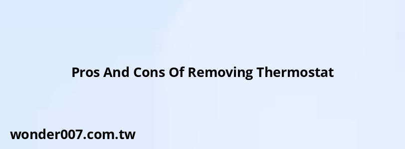Pros And Cons Of Removing Thermostat