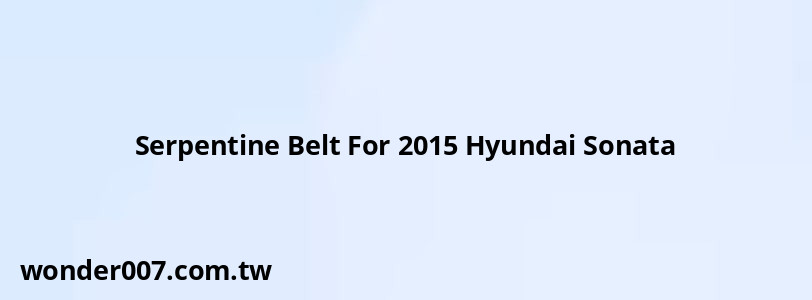 Serpentine Belt For 2015 Hyundai Sonata